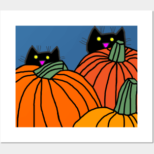 Two Cats in the Pumpkin Patch Posters and Art